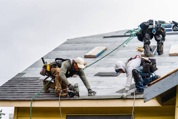 Professional Storm Damage Roof Repair technician working in Leland, IA